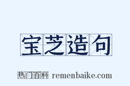 宝芝造句是什么意思的图片